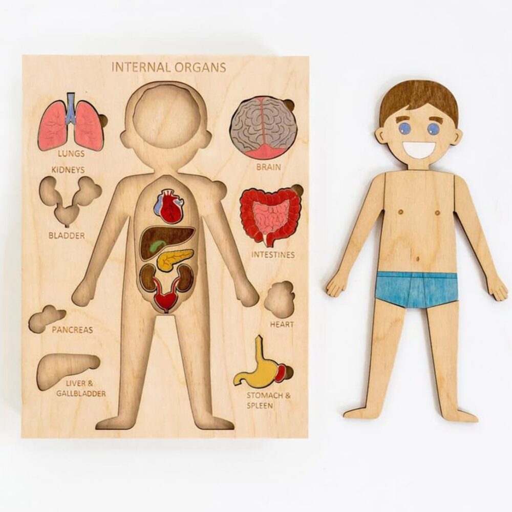 Paintable wooden body puzzle for children