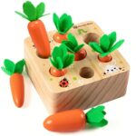 Montessori toys carrot set for children with white background